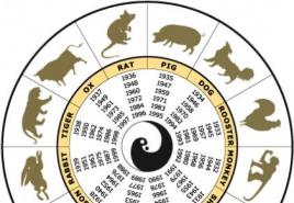 Совместимость по восточному гороскопу: кто подойдет вам Сочетание китайский гороскоп в семье